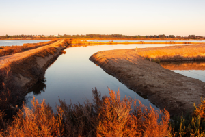 Tour the Ria Formosa: One of Portugal’s Seven Natural Wonders
